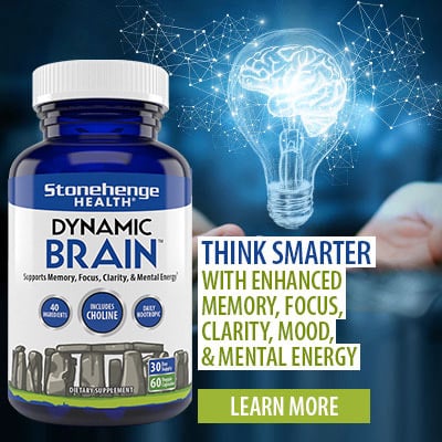 Dynamic Brain