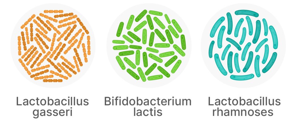 Three Important Probiotic Strains:
Lactobacillus gasseri, Bifidobacterium lactis, Lactobacillus rhamnoses