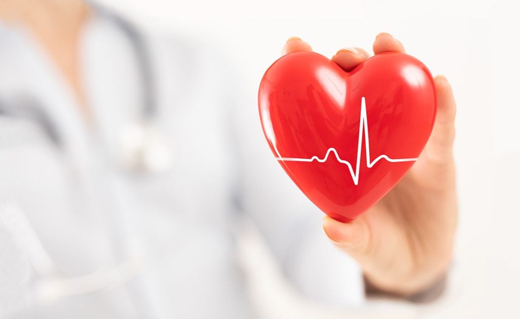 Doctor holding up a red heart with vital sign imprinted on it