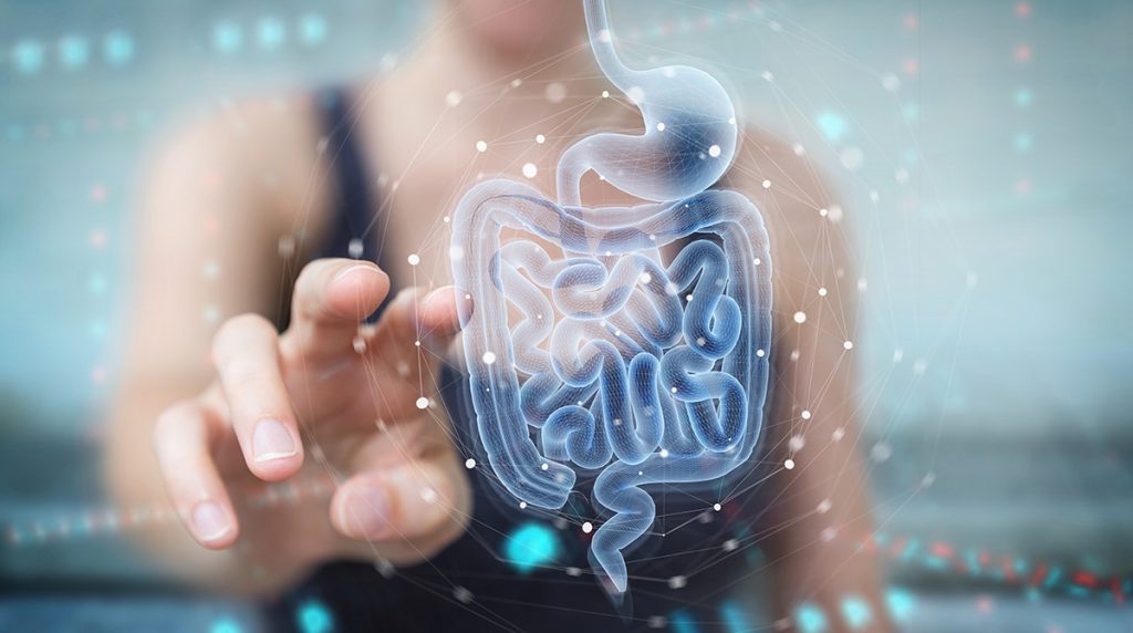 A woman pressing a digital blue hologram of a stomach and small intestine 
