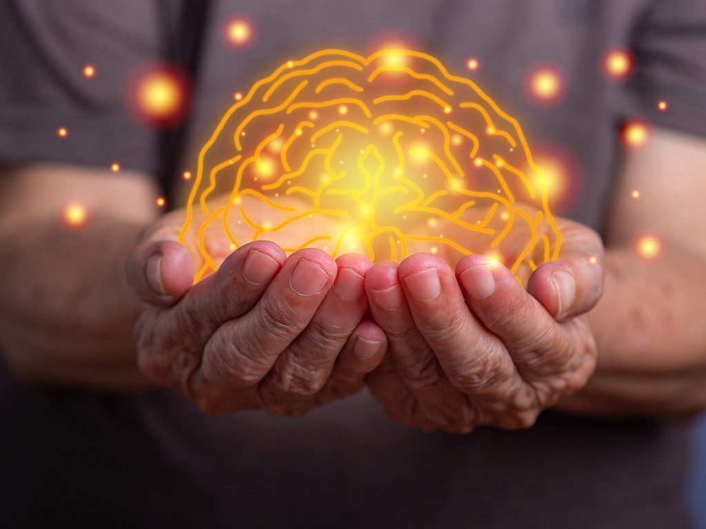 Senior hands holding a vector art of an illuminated brain