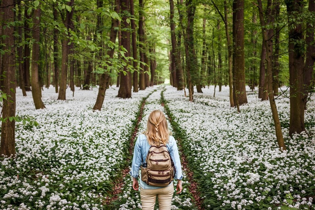 Woman with backpack hiking on footpath in forest.