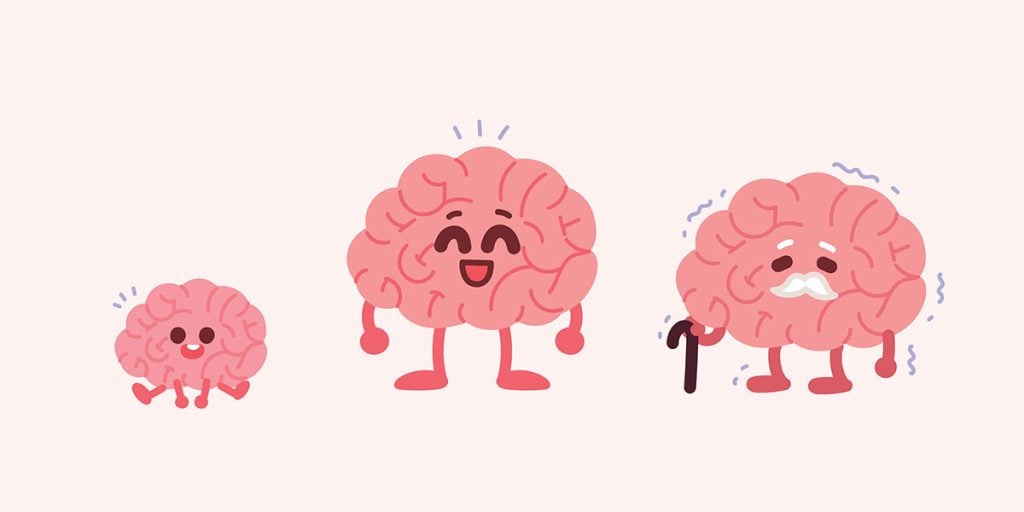 Child's brain, adult brain, and old brain. Brain age concept illustration.
