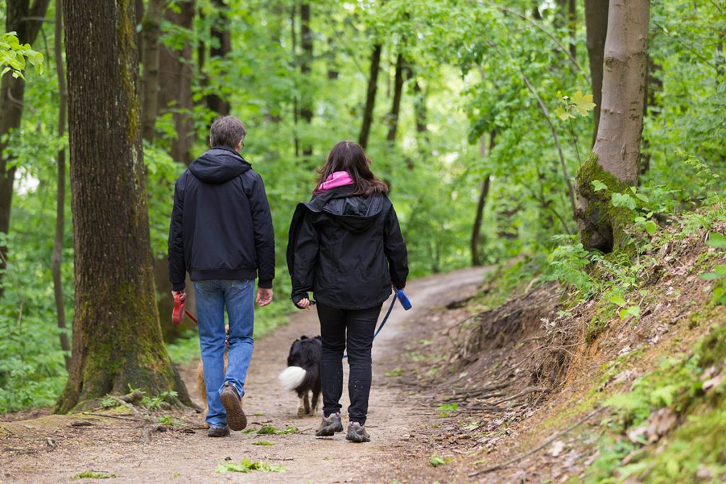 Middle aged couple walking their two dogs in forest.